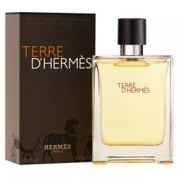 Hermes Terre D'Hermes edt 100ml Tester[con tappo]