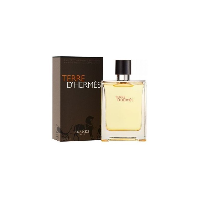 Hermes Terre D'Hermes edt 100ml Tester[con tappo]